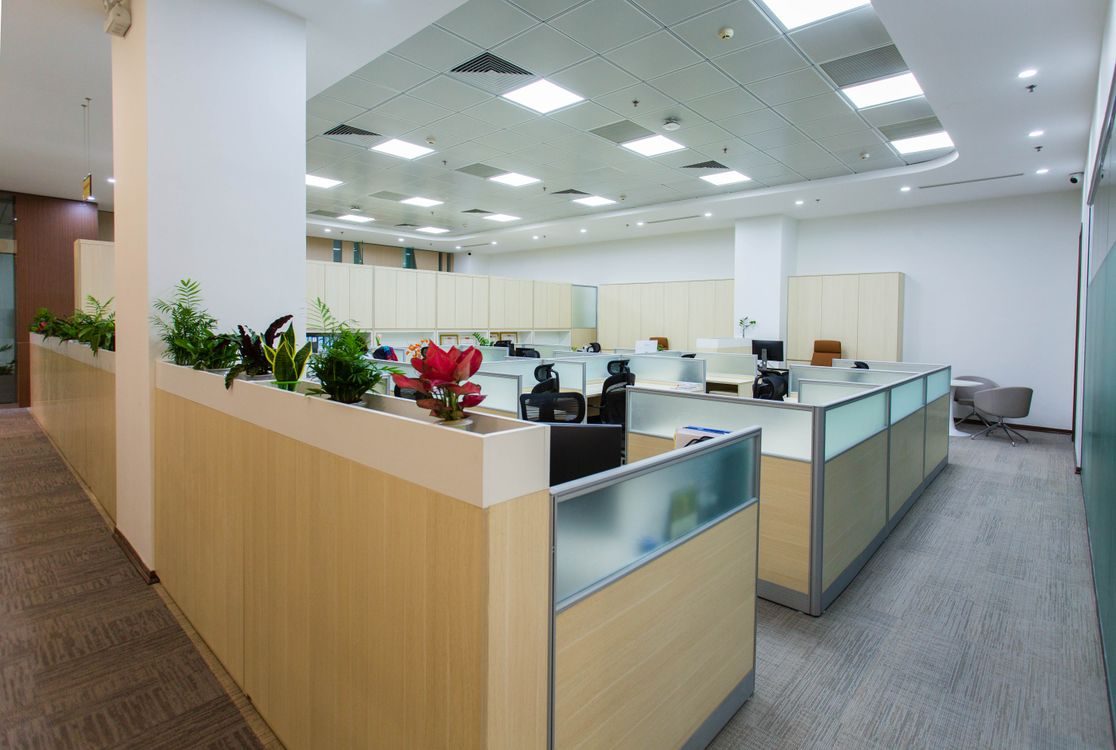 Empty open-plan office with cubicles, partitions and planters, representing employer readiness for labour inspections of foreign workers