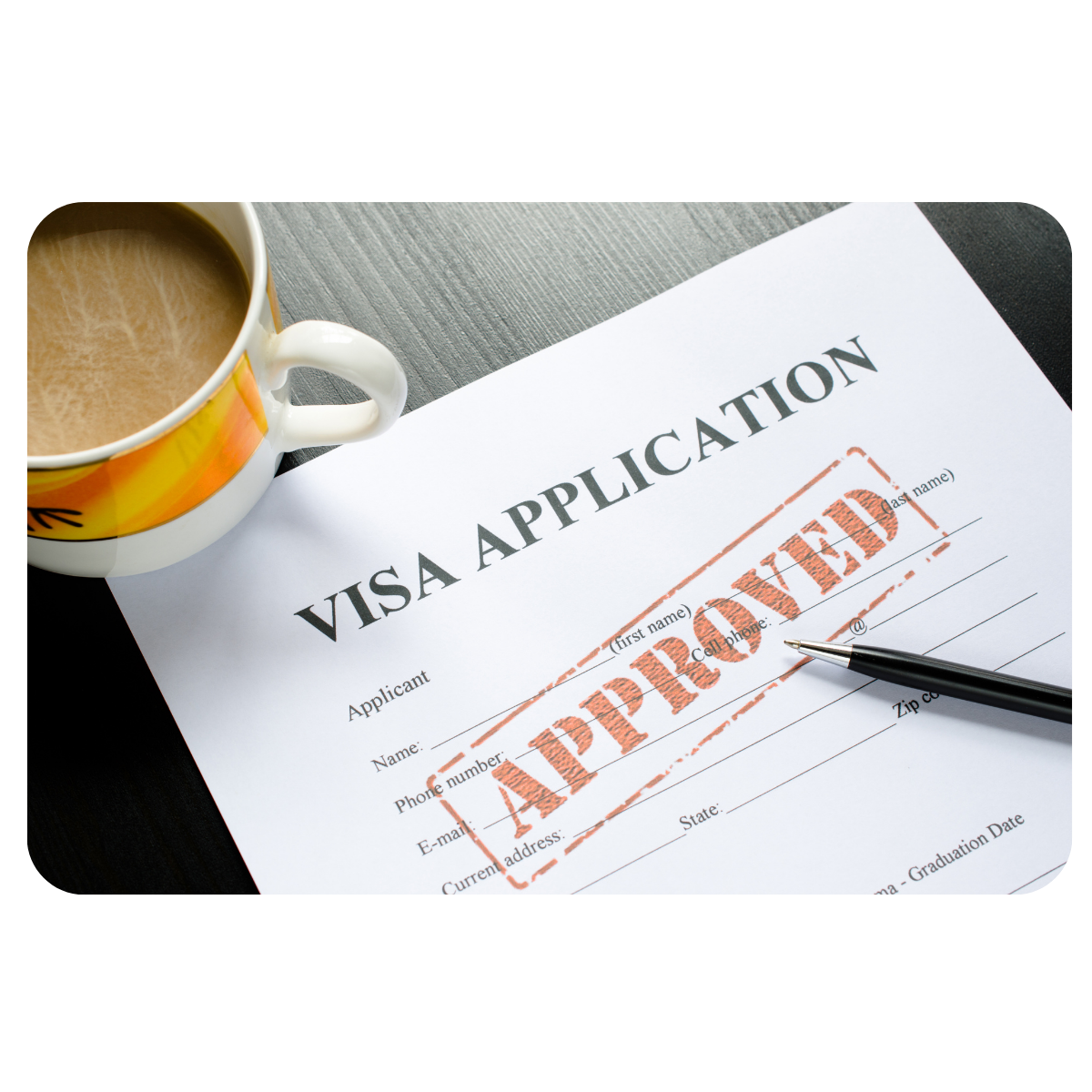 Visa application