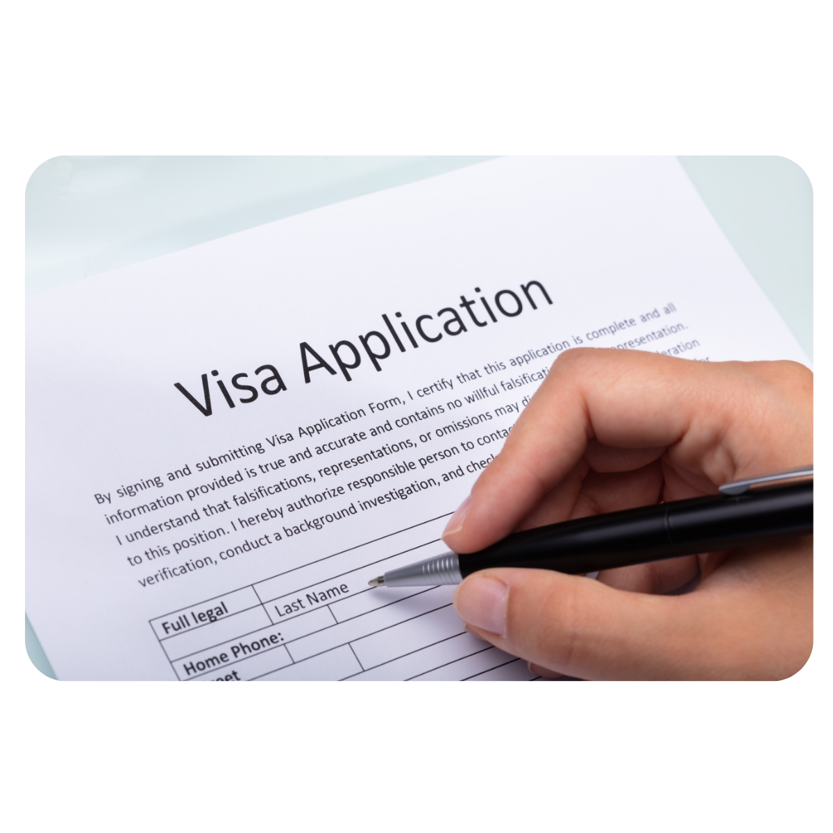 vissa application pic